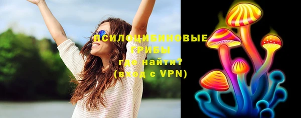 дживик Кукмор