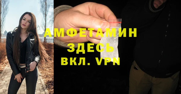гашик Кулебаки