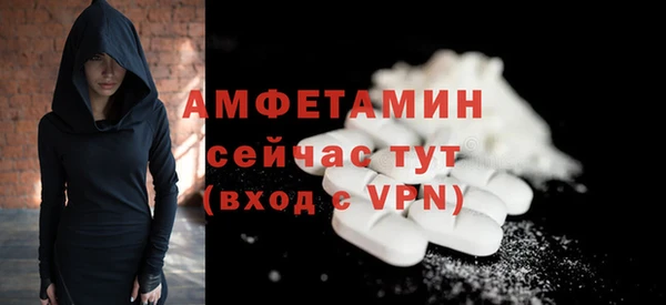 гашик Кулебаки