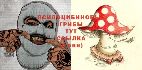 дживик Кукмор