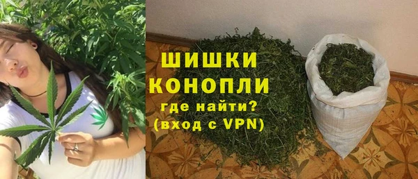 гашик Кулебаки