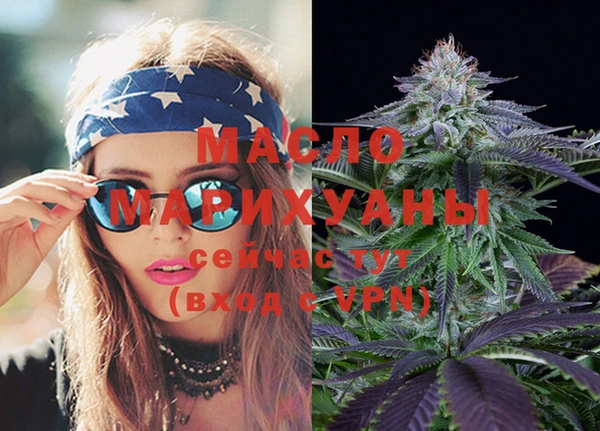гашик Кулебаки
