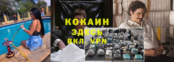 гашик Кулебаки