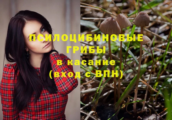 гашик Кулебаки