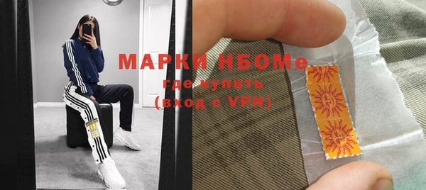 гашик Кулебаки