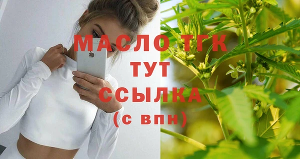 гашик Кулебаки