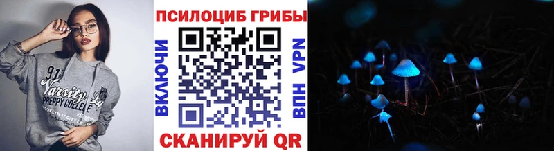 Галлюциногенные грибы Psilocybe  Купить где  Реж 